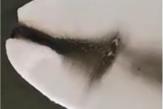 旋乐吧spin8科技