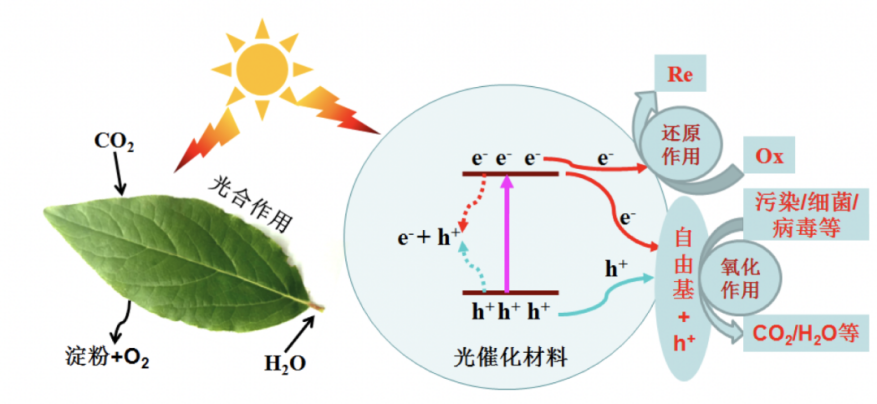 旋乐吧spin8科技