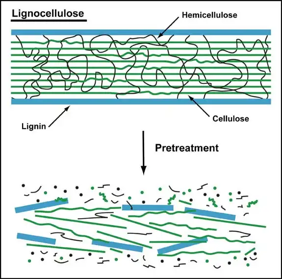 旋乐吧spin8科技