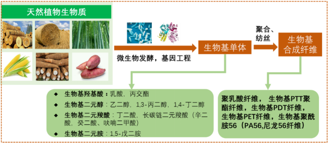 旋乐吧spin8科技